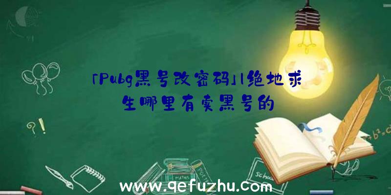 「Pubg黑号改密码」|绝地求生哪里有卖黑号的